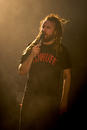 In Flames 