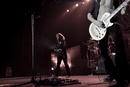 Whitesnake 