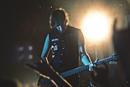 Amatory 
