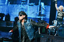 Scorpions 