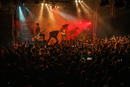 Amaranthe 