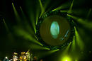 The Australian Pink Floyd Show 