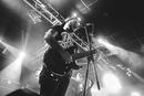 Hacktivist 