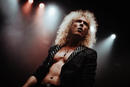 Whitesnake 